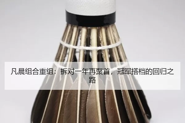 凡晨组合重组：拆对一年再聚首，冠军搭档的回归之路